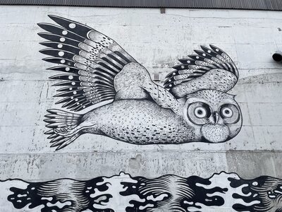 Street art in Tromsø