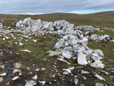 An overview of the white marble