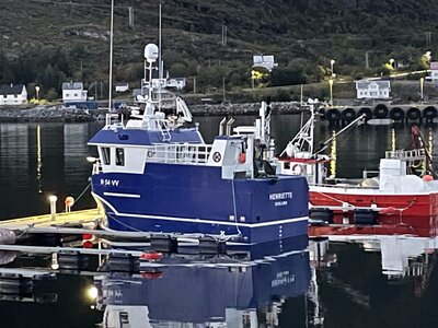 A Boaty-mc-Boatface in Moskenes harbor