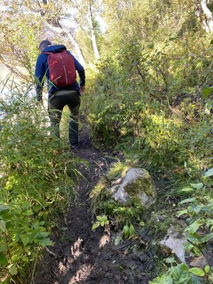 Paul trodding through the mud on the way to Svartisen