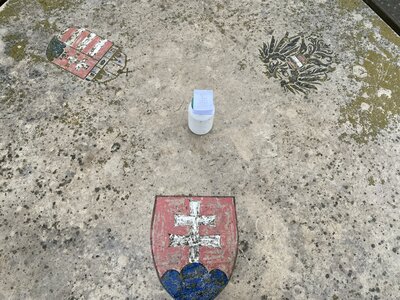 A Geocache at the Tri-State point: HU, SK, AT with a flag of CH in the middle